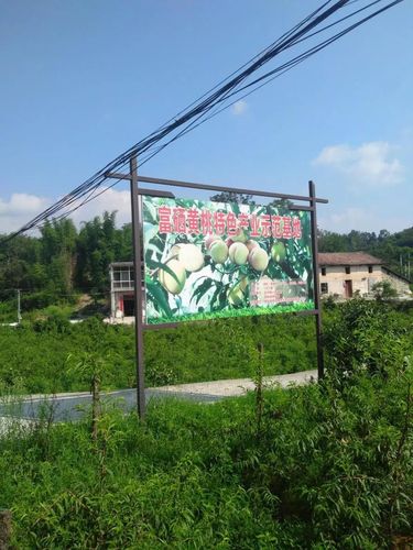 云采智创剑指恩施建始,拉开建始县电子商务进农村综合示范项目序幕!